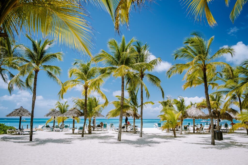 Palm Beach Aruba Caribbean, white long sandy beach with palm trees at Aruba Antilles