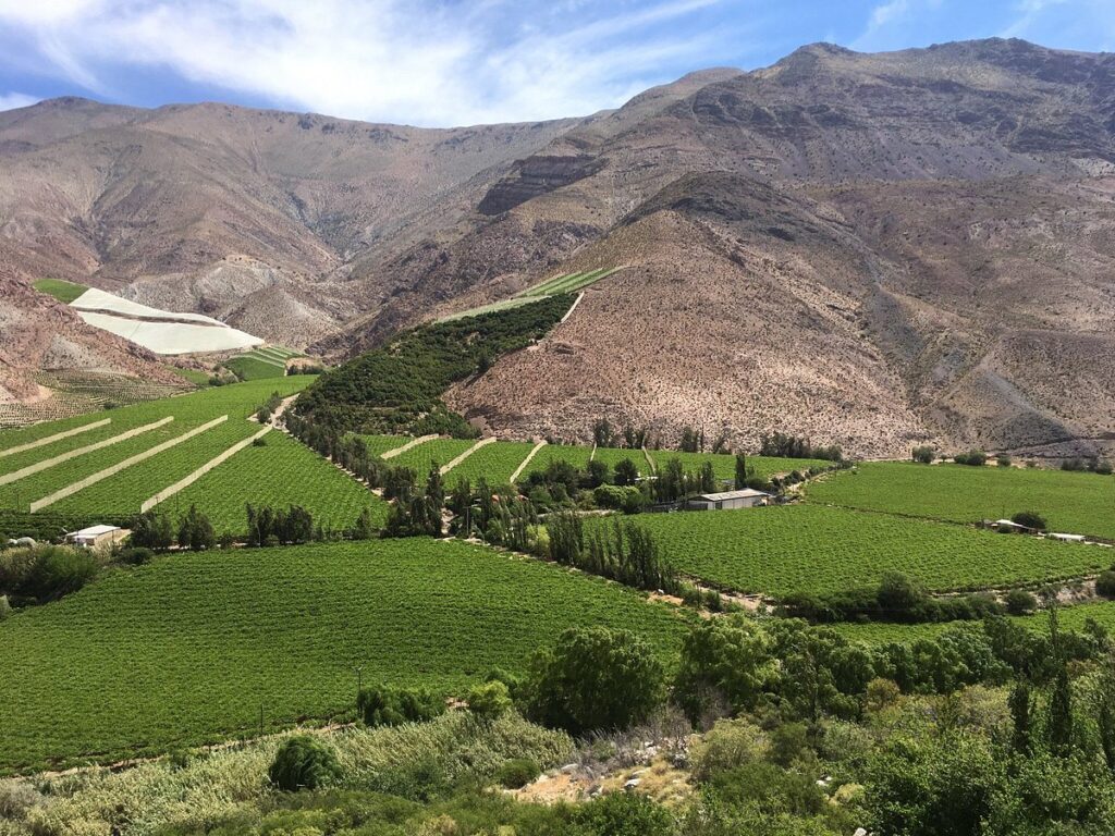 03 Valle de Elqui