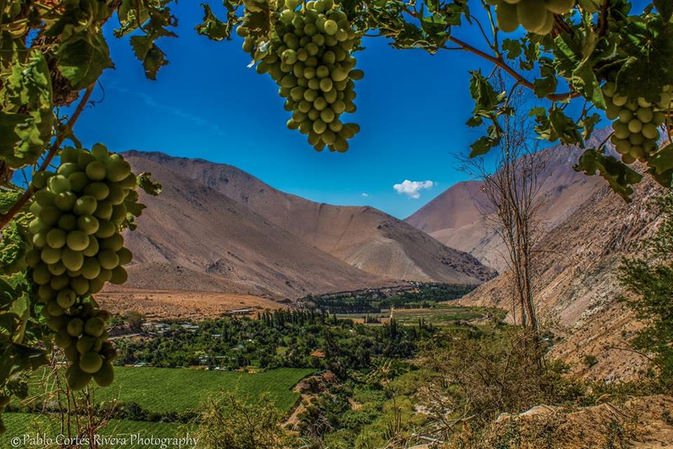 04 Valle de Elqui